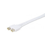 Câble Mini DisplayPort mâle/mâle (1 mètre) pas cher
