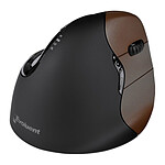 Evoluent VerticalMouse 4 Small Wireless pas cher