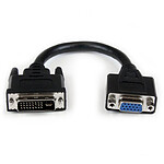StarTech.com Adaptateur DVI vers VGA M/F de 20 cm - Noir pas cher