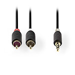 Nedis Câble Audio Stéréo Jack 3.5 mm vers 2 x RCA mâle - 3 mètres pas cher