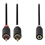 Nedis Câble Audio Stéréo 2 x RCA Mâles vers 3.5 mm Femelle - 20cm pas cher
