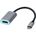 i-tec Adaptateur USB-C / DisplayPort (M/F) pas cher
