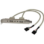 StarTech.com Câble adaptateur USB 2.0 IDC 5 broches vers plaque à 2 ports USB A pas cher
