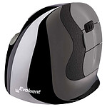 Evoluent VerticalMouse D Wireless Small pas cher