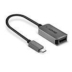 Lindy Convertiseur USB-C / DisplayPort (M/F) pas cher