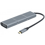 Lindy Convertiseur USB-C / Mini DisplayPort/HDMI/VGA pas cher