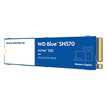 Western Digital SSD WD Blue SN570 250 Go pas cher