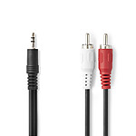 Nedis Cable Audio Stéréo Jack 3.5 mm mâle vers 2x RCA mâle - 2 m pas cher