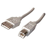 Câble USB 2.0 Type AB (Mâle/Mâle) - 5 m pas cher