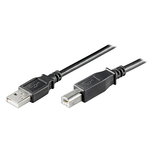 Câble USB 2.0 Type AB (Mâle/Mâle) Noir - 0.25 m pas cher