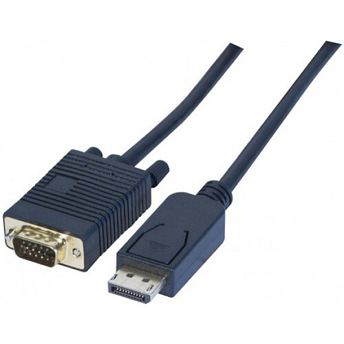 Câble DisplayPort mâle / VGA mâle (2 mètres) pas cher