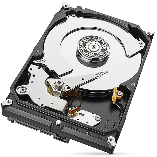 Seagate IronWolf 4 To (ST4000VN008) pas cher