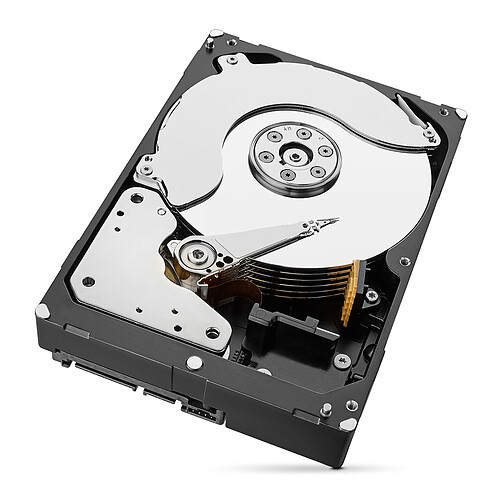 Seagate IronWolf 6 To pas cher