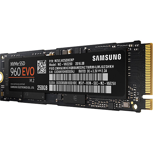 Samsung SSD 960 EVO M.2 PCIe NVMe 250 Go pas cher