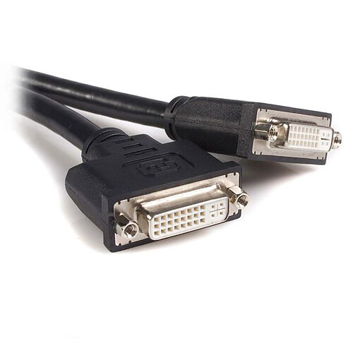 StarTech.com Câble LFH/DMS 59 vers 2 x DVI - M/F - 20 cm pas cher