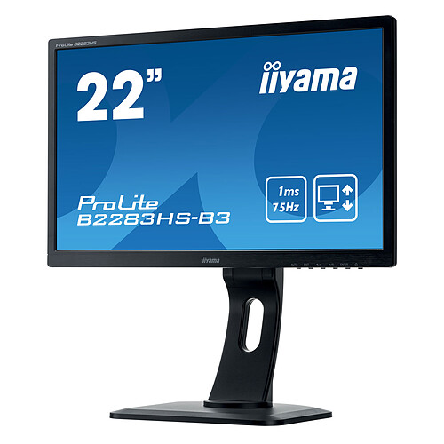iiyama 21.5" LED - ProLite B2283HS-B3 pas cher