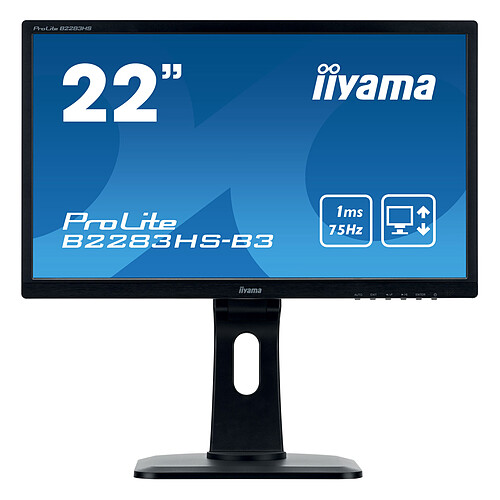 iiyama 21.5" LED - ProLite B2283HS-B3 pas cher