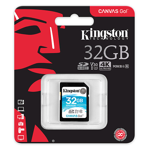 Kingston Canvas Go! SDG/32GB pas cher
