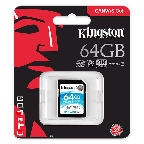Kingston Canvas Go! SDG/64GB pas cher