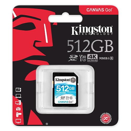 Kingston Canvas Go! SDG/512GB pas cher