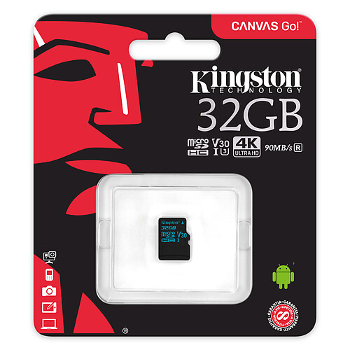 Kingston Canvas Go! SDCG2/32GBSP pas cher