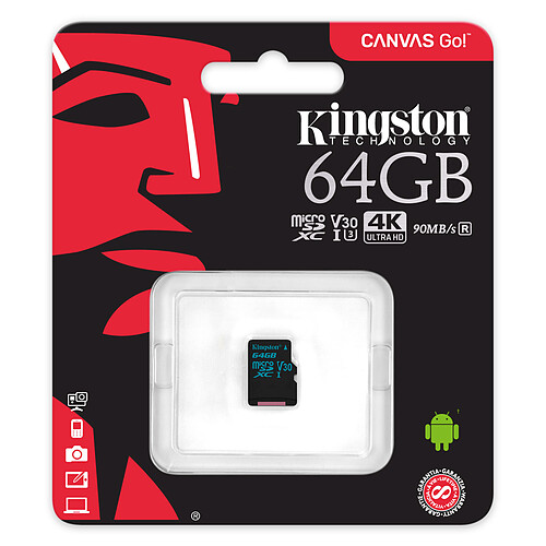Kingston Canvas Go! SDCG2/64GBSP pas cher