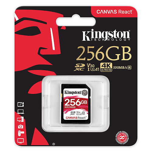 Kingston Canvas React SDR/256GB pas cher