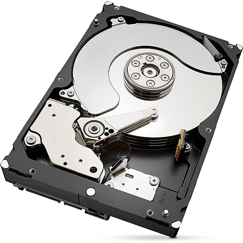Seagate IronWolf 7 To pas cher