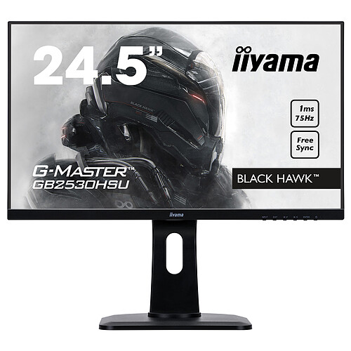 iiyama 24,5" LED - G-MASTER GB2530HSU-B1 Black Hawk pas cher