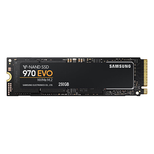 Samsung SSD 970 EVO M.2 PCIe NVMe 250 Go pas cher