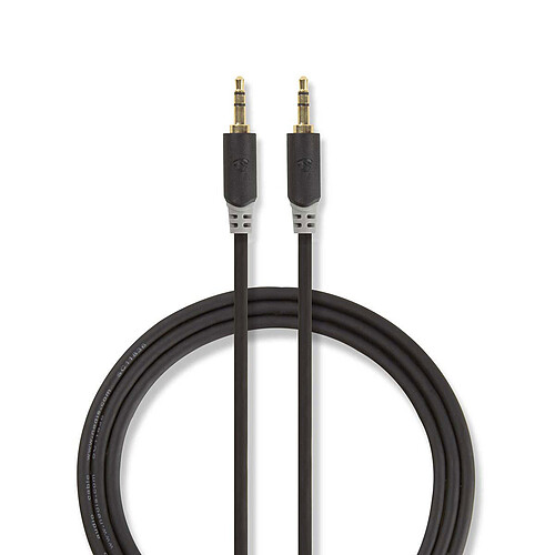 Nedis câble haute qualité audio stéréo jack 3.5 mm (2 mètres) pas cher