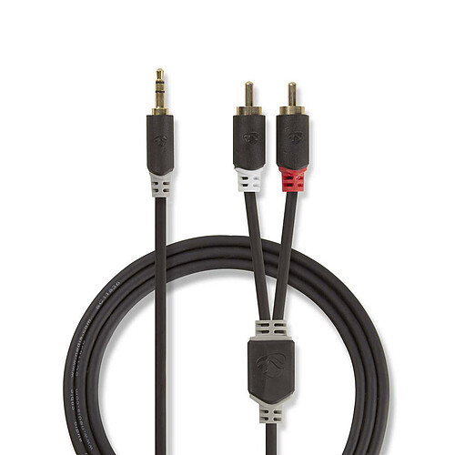 Nedis Câble Audio Stéréo Jack 3.5 mm vers 2 x RCA mâle - 2 mètres pas cher