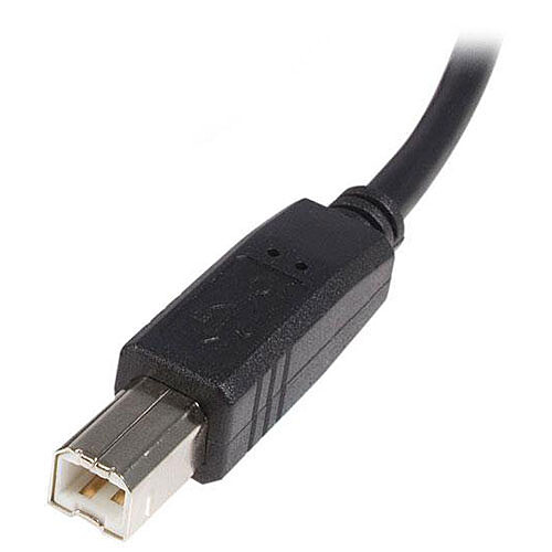 StarTech.com Câble USB-A 2.0 vers USB-B - M/M - 2 m - Noir pas cher