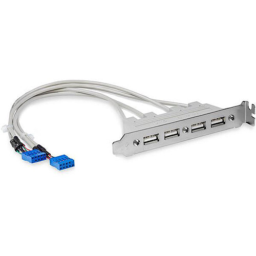 StarTech.com Câble adaptateur USB 2.0 IDC 10 broches vers plaque à 4 ports USB A pas cher