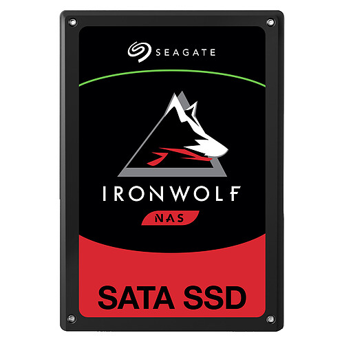 Seagate SSD IronWolf 110 480 Go pas cher
