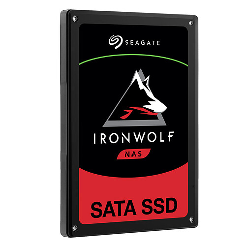 Seagate SSD IronWolf 110 960 Go pas cher
