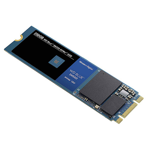 Western Digital SSD WD Blue SN500 250 Go pas cher