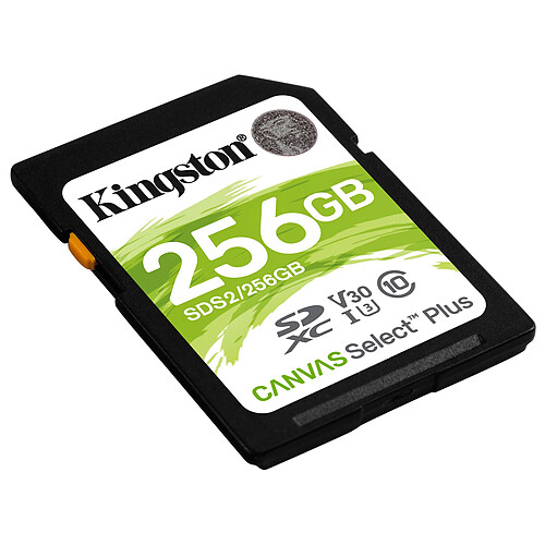 Kingston Canvas Select Plus SDS2/256GB pas cher