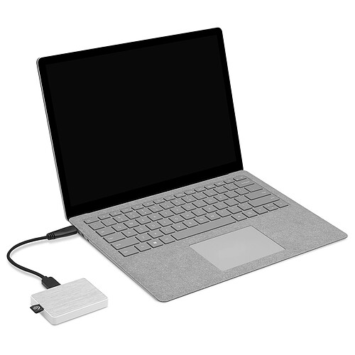 Seagate One Touch SSD 1 To Blanc pas cher