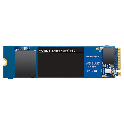 Western Digital SSD WD Blue SN550 500 Go (WDBA3V5000ANC-WRSN) pas cher