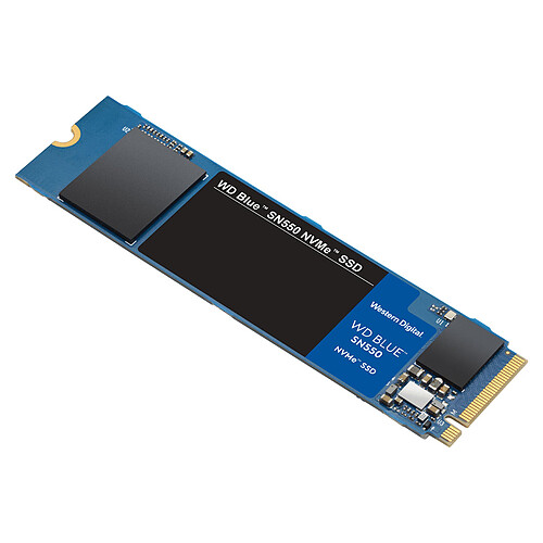 Western Digital SSD WD Blue SN550 500 Go (WDBA3V5000ANC-WRSN) pas cher