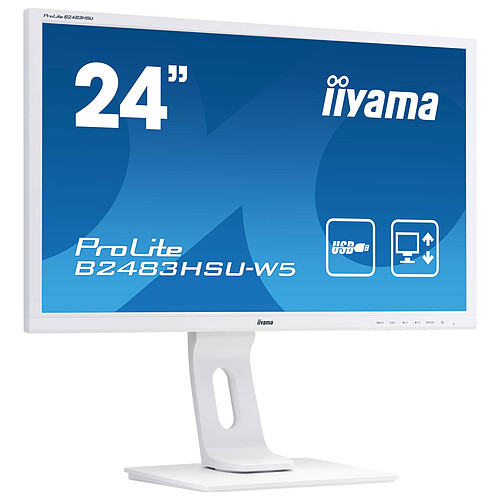 iiyama 24" LED - ProLite B2483HSU-W5 pas cher
