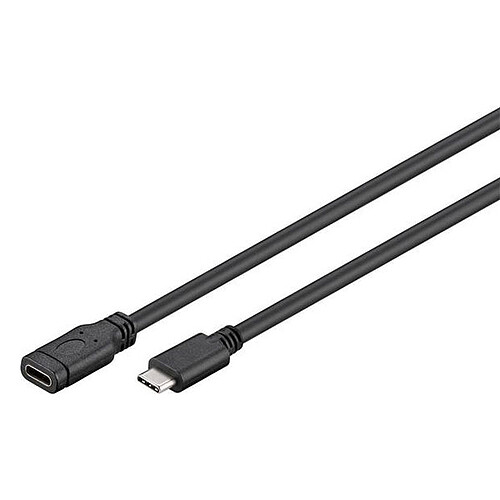 Goobay Câble USB 3.0 Type-C (1 m) Noir pas cher