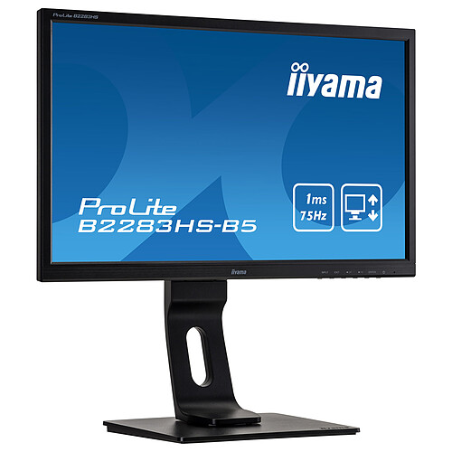 iiyama 21.5" LED - ProLite B2283HS-B5 pas cher