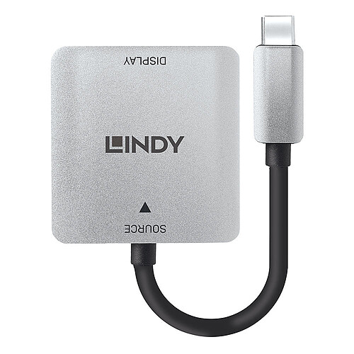 Lindy Adaptateur USB-C / DVI (M/F) pas cher