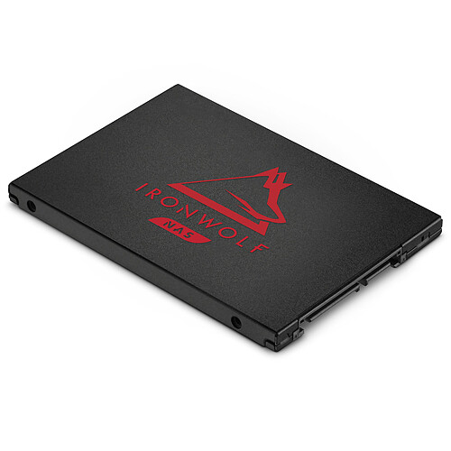 Seagate SSD IronWolf 125 500 Go pas cher