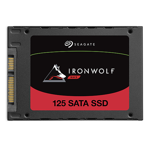 Seagate SSD IronWolf 125 500 Go pas cher