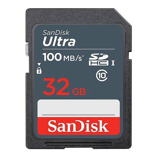 SanDisk Ultra SDHC UHS-I 32 Go (SDSDUNR-032G-GN3IN) pas cher