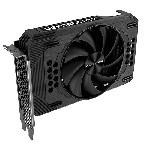 Gainward GeForce RTX 3060 Pegasus OC (LHR) pas cher