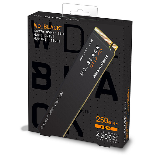 Western Digital SSD WD_Black SN770 250 Go pas cher